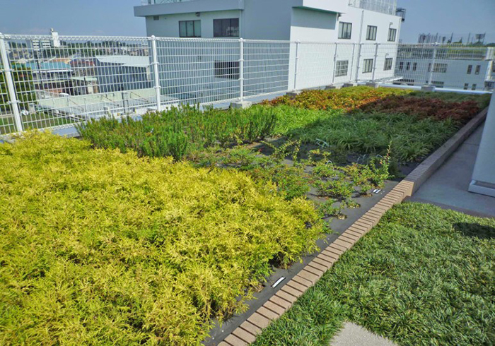 草木の屋上緑化システム“スクエアプランツ”
