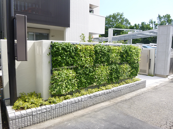 施工直後の緑被率が高い壁面緑化“パラビエンタ”