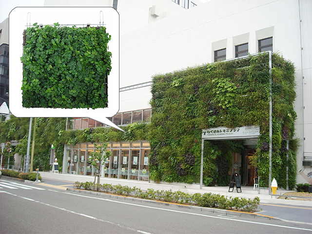 施工直後の緑被率が高い壁面緑化“パラビエンタ”