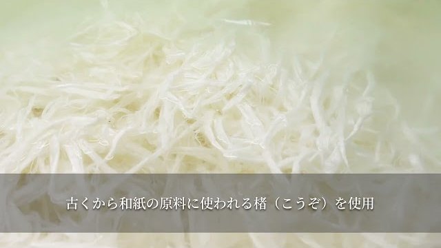 INSHU introduction movie