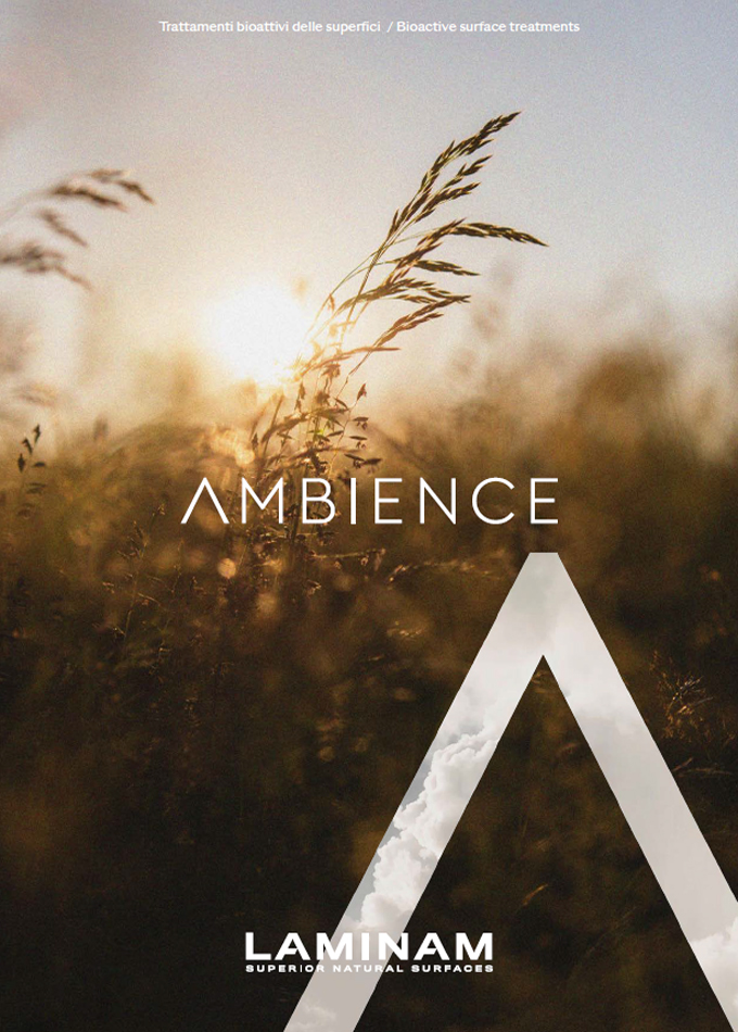 AMBIENCE