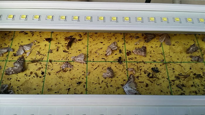 LED捕虫器 虫と～る/株式会社アクシア