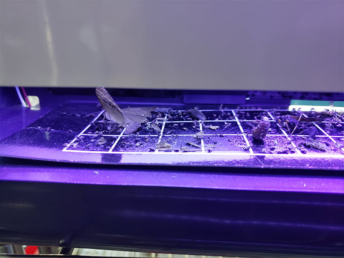 LED捕虫器 虫と～る/株式会社アクシア