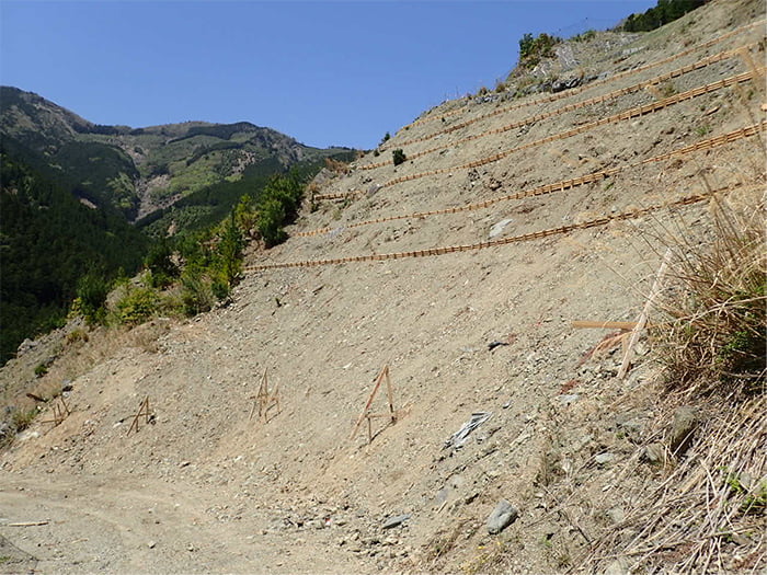 ポリソイル緑化工法(治山事例)