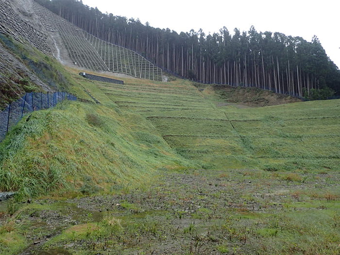 ポリソイル緑化工法(治山事例)