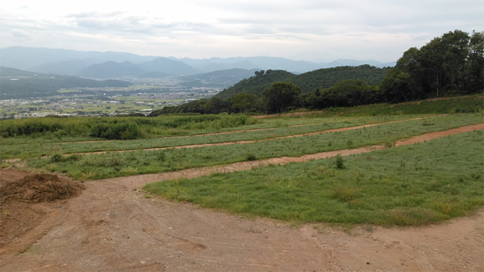 ポリソイル緑化工法(農地整備事例)