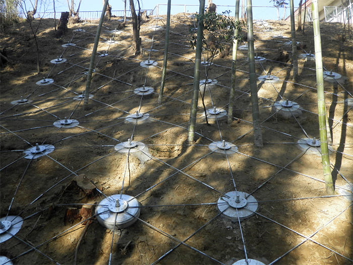 ポリソイル緑化工法(急斜面事例)