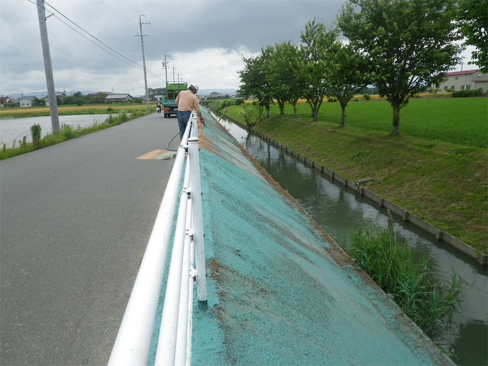 ポリソイル緑化工法(道路事例)