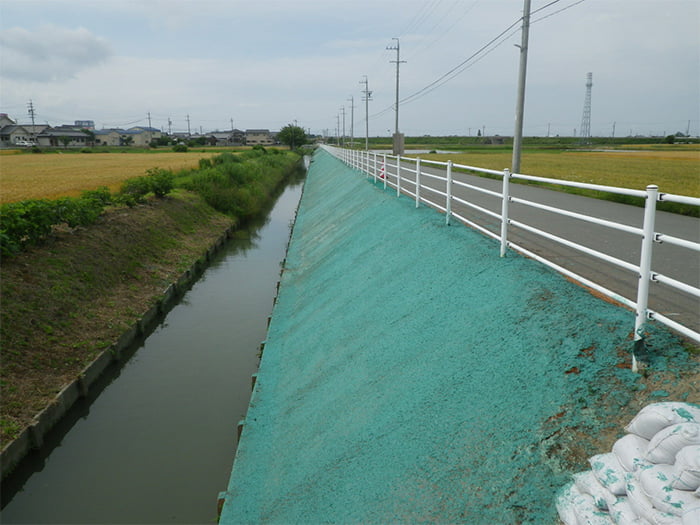 ポリソイル緑化工法(道路事例)