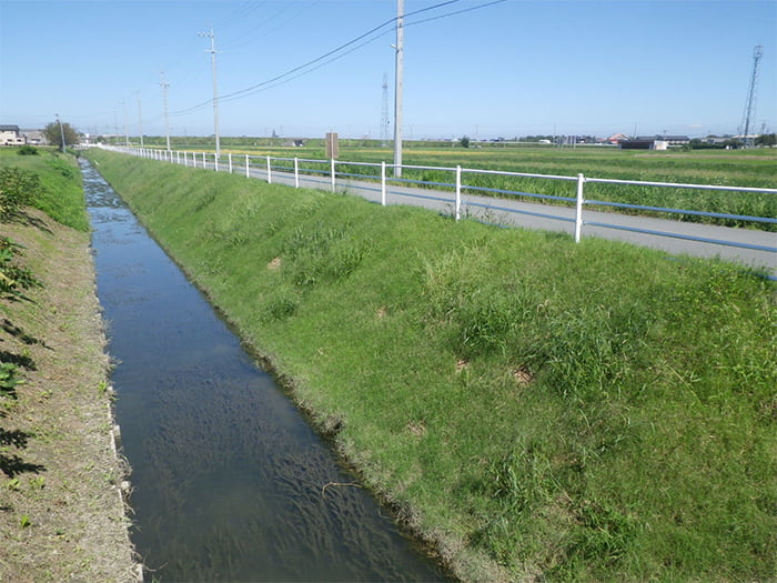 ポリソイル緑化工法(道路事例)