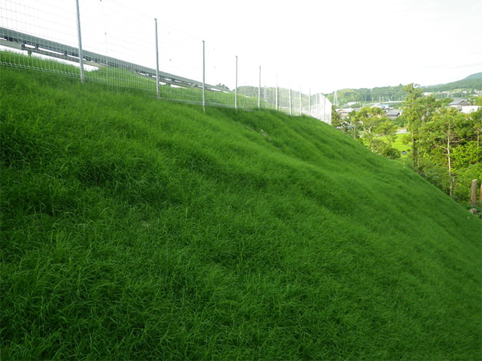 ポリソイル緑化工法(太陽光)