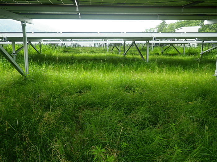 ポリソイル緑化工法(太陽光)