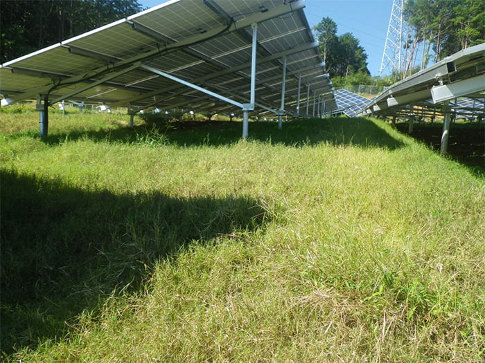 ポリソイル緑化工法(太陽光)