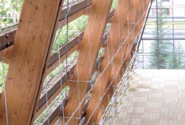 木質舗装【ウッドパネル・モクレンガ】