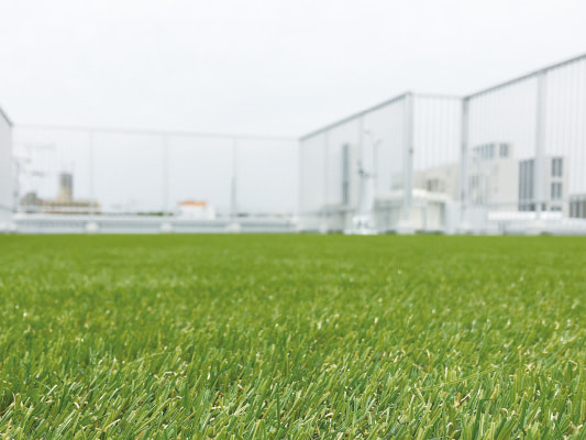 メモリーターフAIR