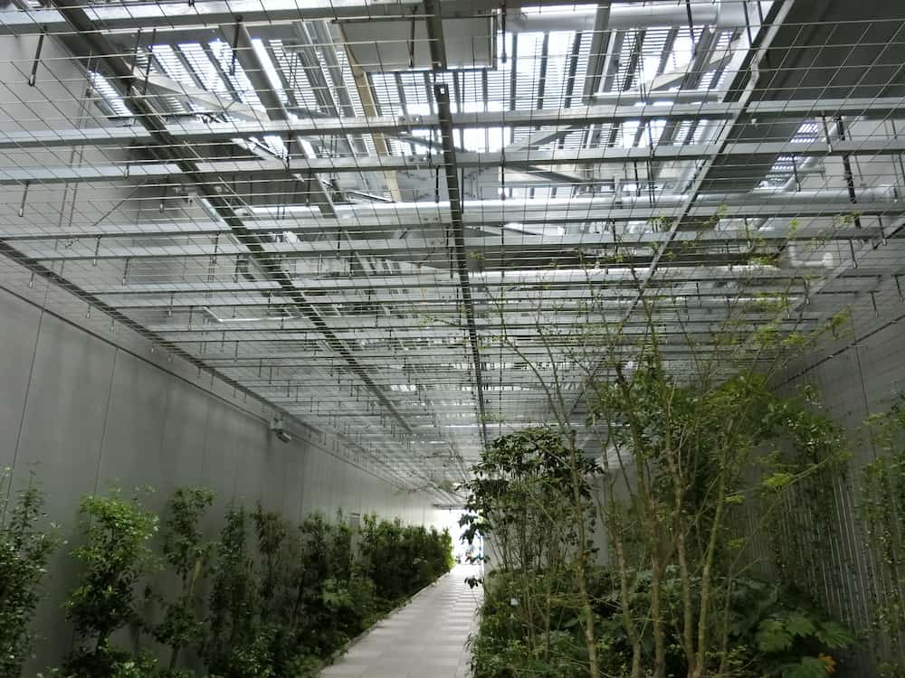 溶接金網(ワイヤーメッシュ)