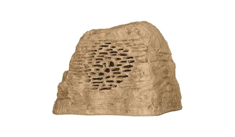 岩のスピーカー