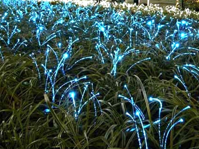 光ファイバー演出