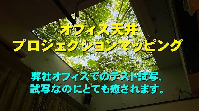天井プロジェクションマッピング・森林