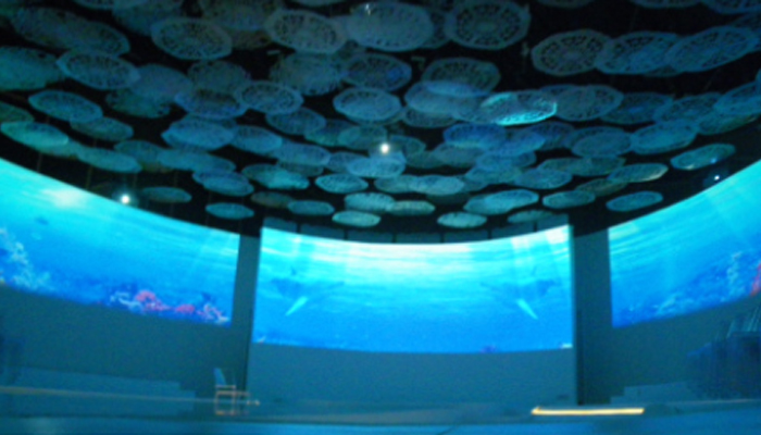 360°プロジェクションマッピング