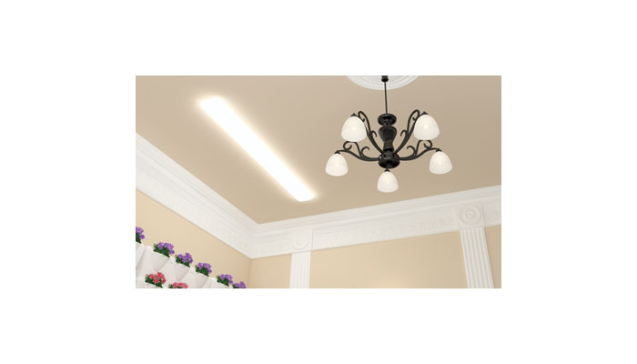 PU製ゴールデンモール