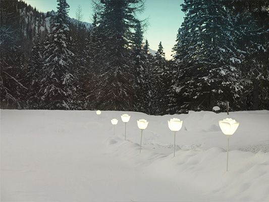 プラスチック製ライティングフラワー 「スィート(TULIP)」&「ベイビーラブ(ROSE)」