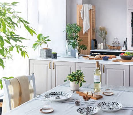 VESTA kukka(ヴェスタ クッカ)シリーズ