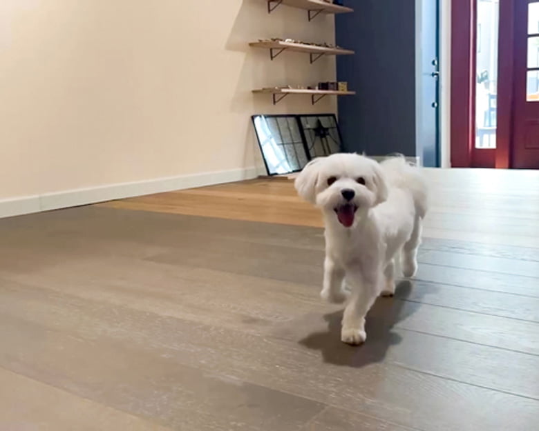 オーク積層フローリング『Quick-Step[クイックステップ]』/株式会社ナガイ