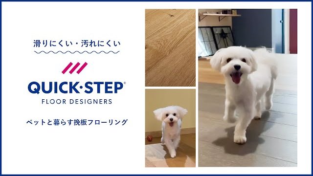 【QUICK-STEP】小型犬が滑りにくいオーク挽板フローリング/株式会社ナガイ