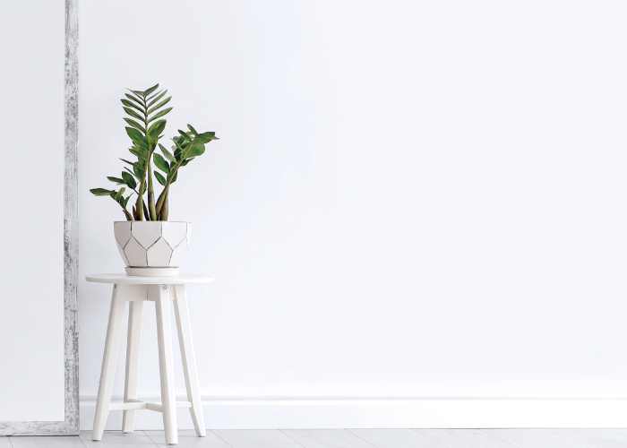 透湿・耐久性×脱臭・抗菌の高機能壁紙 しっくいフリース