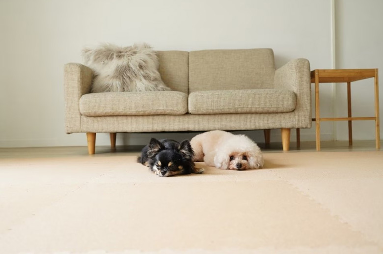 ペットに最適!芯までコルクの日本製コルクマット/永柳工業株式会社