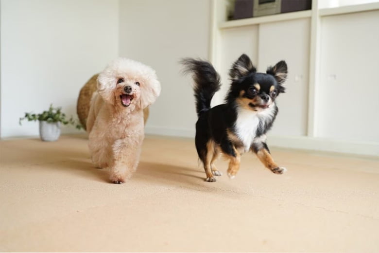 ペットに最適!芯までコルクの日本製コルクマット/永柳工業株式会社