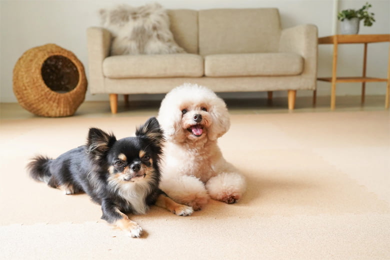 ペットに最適!芯までコルクの日本製コルクマット