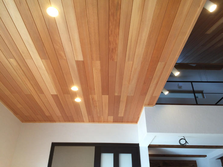 アガチス羽目板