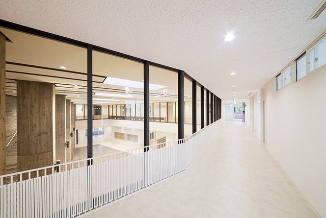 ファイアライト®