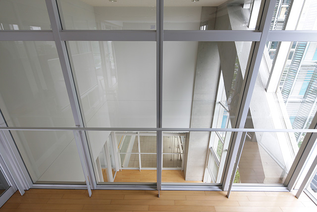 ファイアライト®