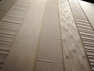 DS WALL(DSウォール 不燃・ケイカル板)