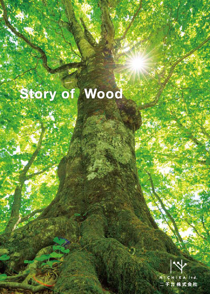 Story of Wood