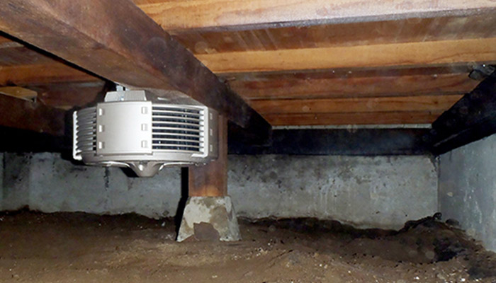 スプレッドファン3