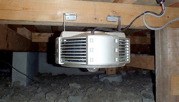 スプレッドファン3