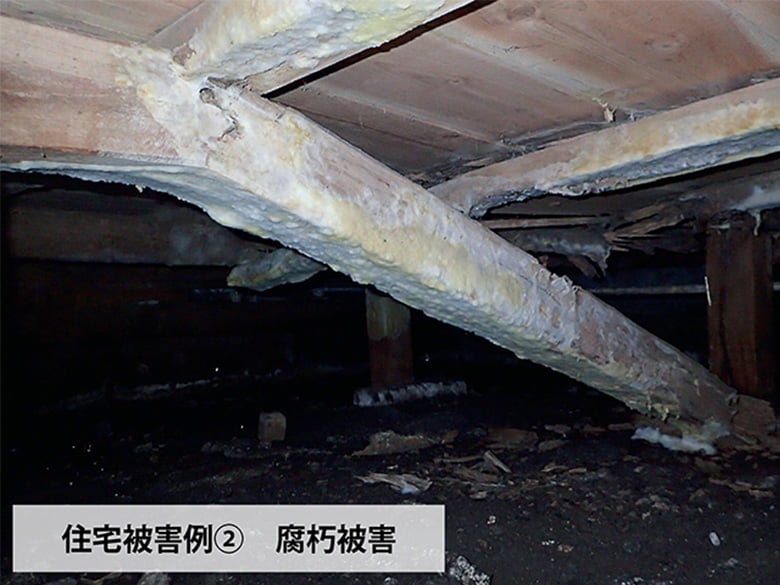 床下診断