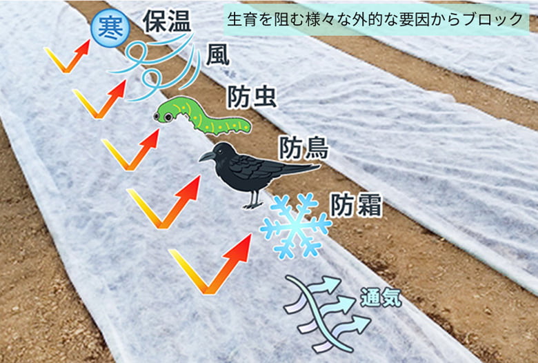 農業用シート(白・黒)