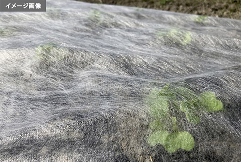 農業用シート(白・黒)