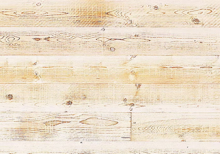 バニラホワイト/新日中商事株式会社