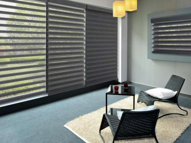 NORMAN® パーフェクトシアーシェード