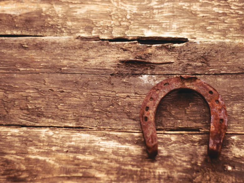 NOW WE NEED NOSTAMO!