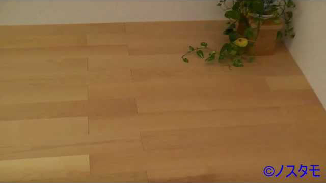 JP 0:00 / 2:18 DECUMA ハードメープル