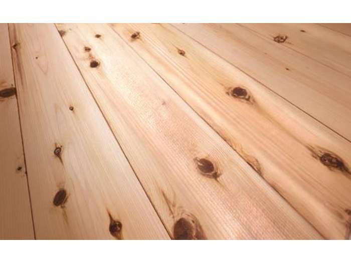 BIO SUGI(バイオスギ)