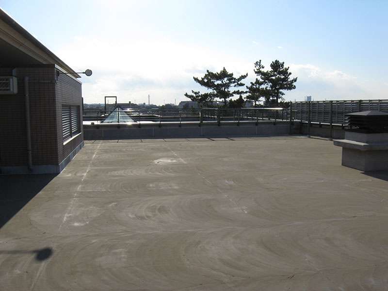 セメンテックスCMS-2