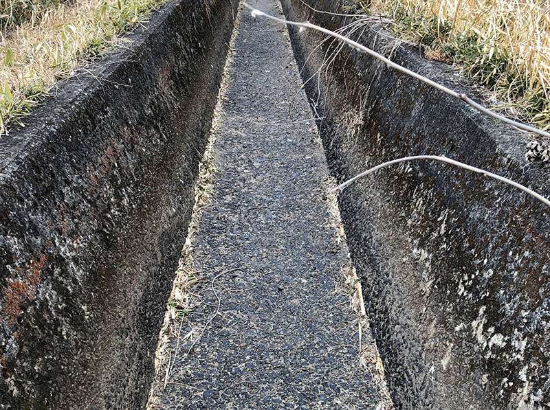 セメンテックスVFシリーズ